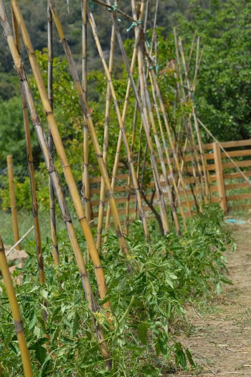 Casa Rural Ahoraya El Colmenar Ngoại thất bức ảnh