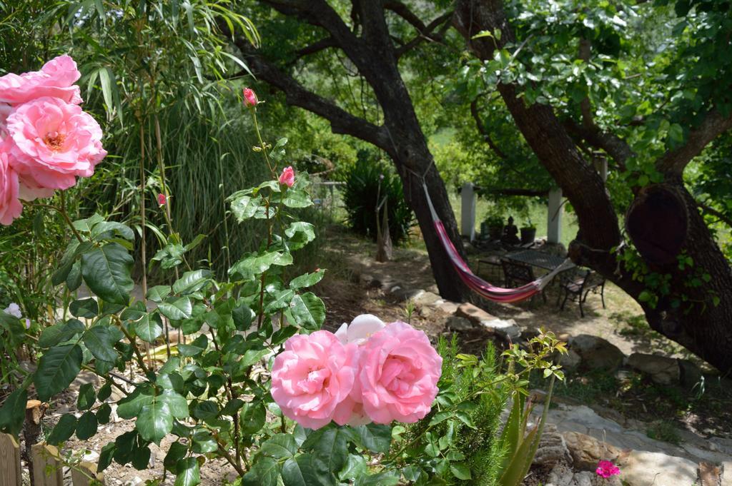 Casa Rural Ahoraya El Colmenar Ngoại thất bức ảnh