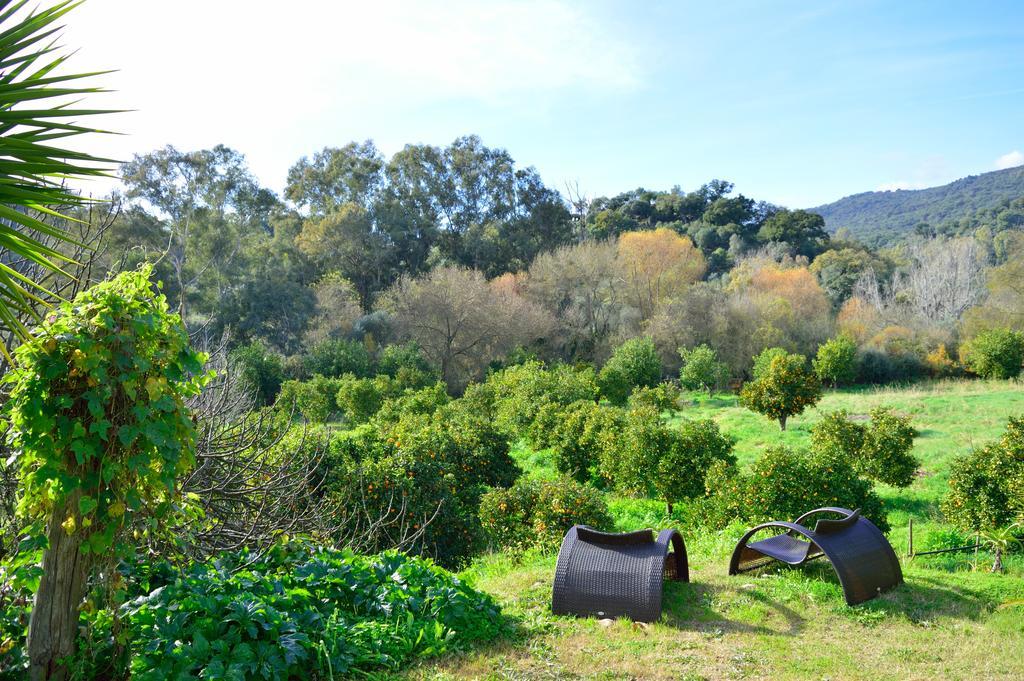 Casa Rural Ahoraya El Colmenar Ngoại thất bức ảnh
