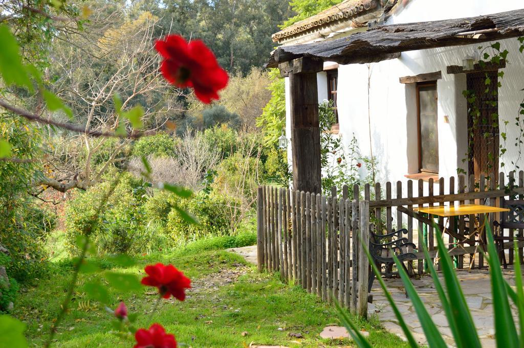 Casa Rural Ahoraya El Colmenar Ngoại thất bức ảnh