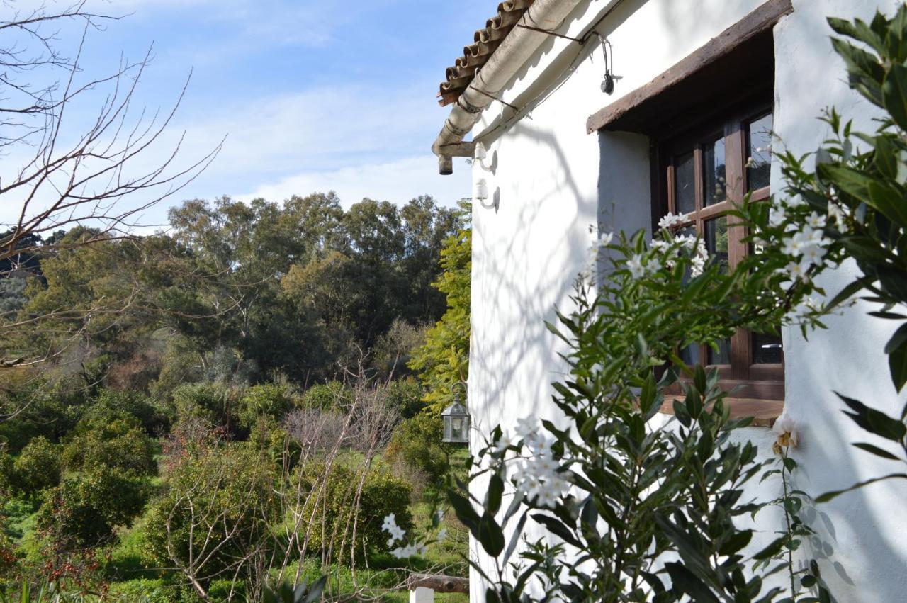 Casa Rural Ahoraya El Colmenar Ngoại thất bức ảnh